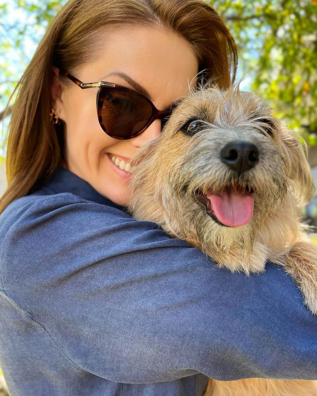 Ana Hickmannさんのインスタグラム写真 - (Ana HickmannInstagram)「Hoje o Joaquim foi trabalhar comigo no @hojeemdia 🐶💕.  Ele é muito parceirinho, simpático com todos e aproveitou para conhecer a @recordtvoficial 📺. Olha que fofo ele na minha poltrona, como se fosse o apresentador🥰.  Falamos sobre exemplos de resgates, adoção e histórias lindas! @julinhocasares também veio acompanhado da Martina. @canilhickmannridgehunter  #srd #hojeemdia #canilhickmannridgehunter #amor #pet #anahickmanneyewear」8月4日 4時05分 - ahickmann