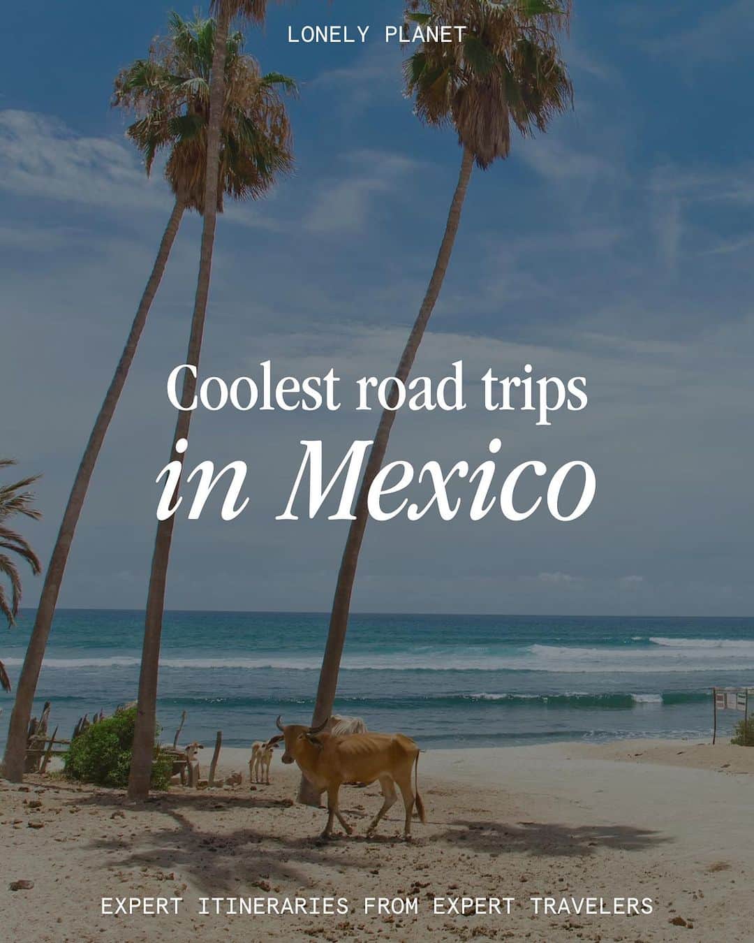 Lonely Planetのインスタグラム：「The vision: a Mexican road trip that'll fuel your wanderlust 🚗🌞 We've got your road trip itinerary right here, no matter what your speed — remote spots that'll wow ya, short-n-sweet trips just outside Mexico City and some classic coastlines.  Save this post for more road trips 📌」