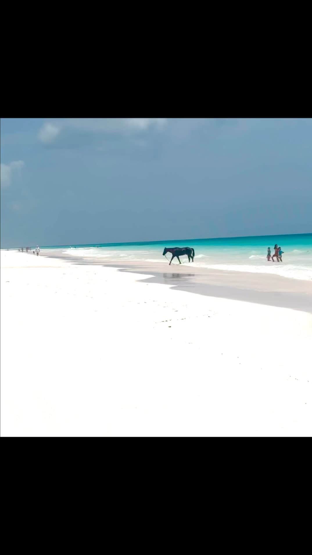 アリ・ラーターのインスタグラム：「☀️🇧🇸☀️🌊☀️」