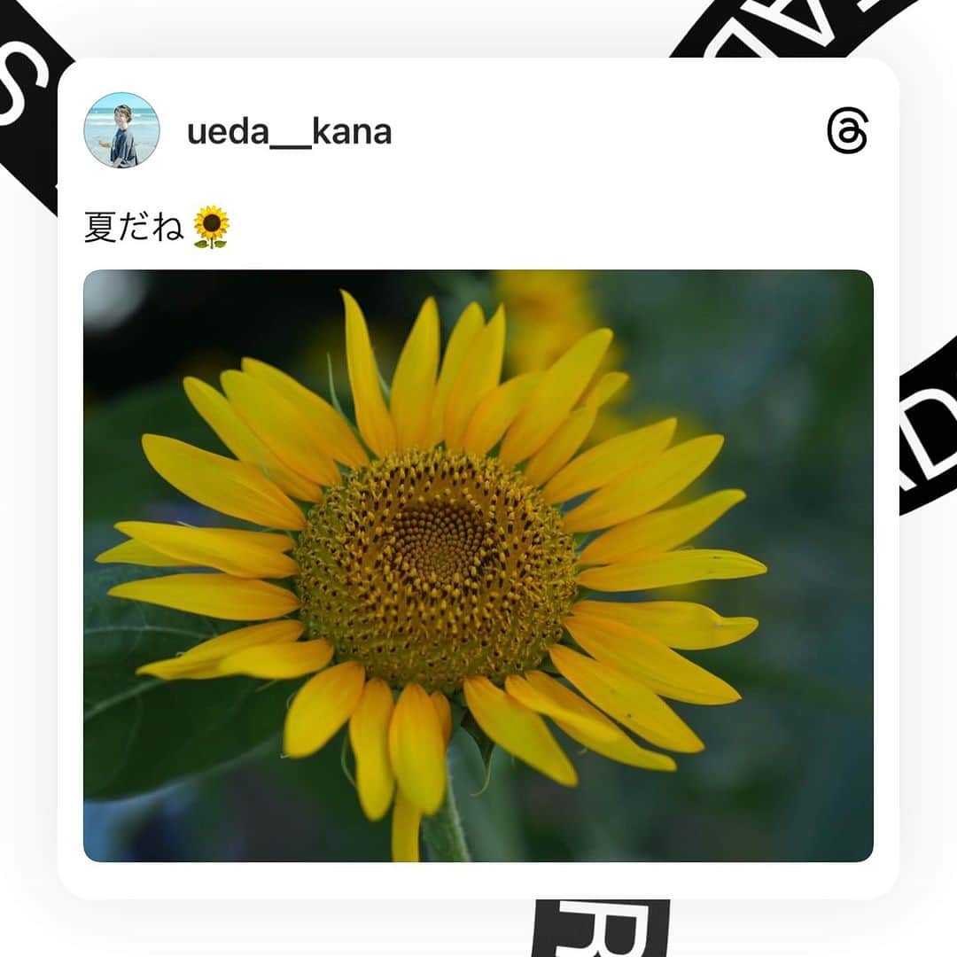 植田佳奈のインスタグラム