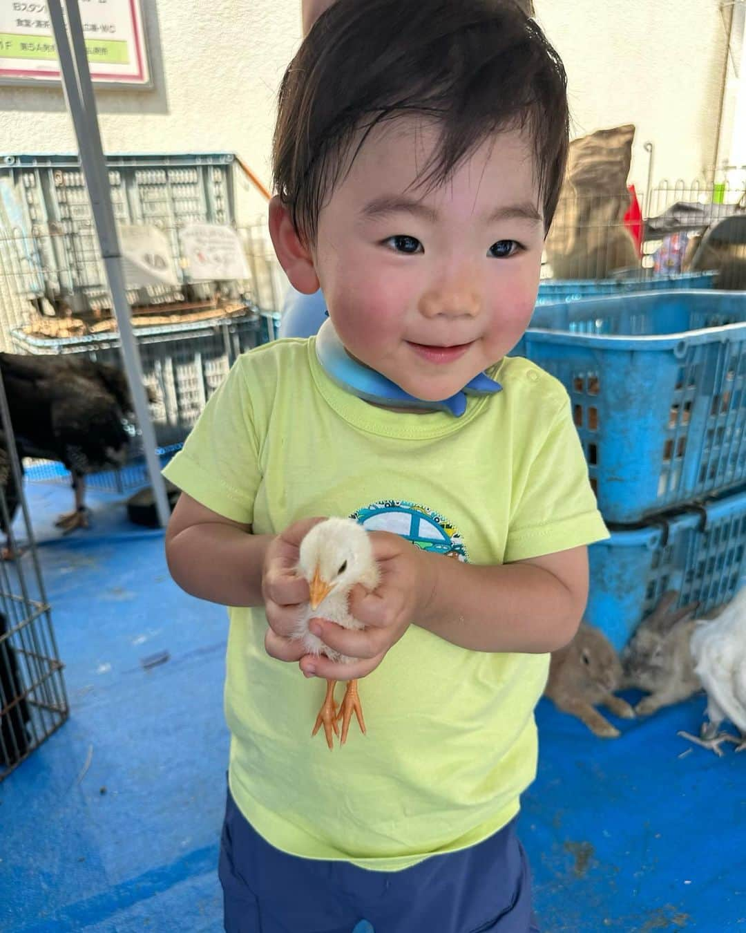 井上英里香のインスタグラム：「* 動物ふれあい体験に ポニー乗馬体験🐴🐰🐥 * * 真夏の炎天下、息子達もわたしも 汗だくになりながら決死の覚悟でw 行ってきました🥵🥵 * 👦🏻の笑顔が見られたから、よき💓 * * #パパの職場見学 #川口オート #アイスにかき氷三昧  #動物えさやり体験 #乗馬体験 #餌あげ終わったら必ずパチパチ👏 #頭にニワトリも乗せてもらいました #この時だけは神妙な面持ち」