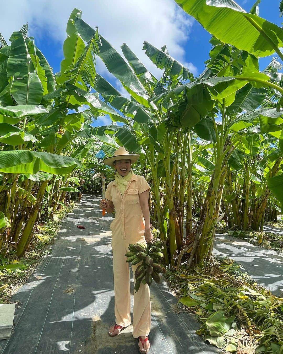 レイヤマダさんのインスタグラム写真 - (レイヤマダInstagram)「沖縄県は南城市玉城。我らがSpeedy farm👩‍🌾 2022年4月に植えた「ブルージャワバナナ」の初めての収穫祭をしました🍌 東南アジアやハワイで食べられているバナナで、皮が青く、アイスクリームのような味が特徴です🍨 今のところ皮は青くなっておらず、味はりんごですw🍎3年くらいすると真のブルージャワバナナらしくなってくるみたい。(信じがたい。。) でもとっても美味しい！たくさんのトラブルに見舞われながらもここまで成長して実をつけてくれたバナナたち。 当日は地元の方々も集まって大好評の「第一回バナナフェス」となりました👨‍👩‍👧‍👦  @speedygallery  @speedyresorts」8月4日 15時50分 - rayyamada_dayo