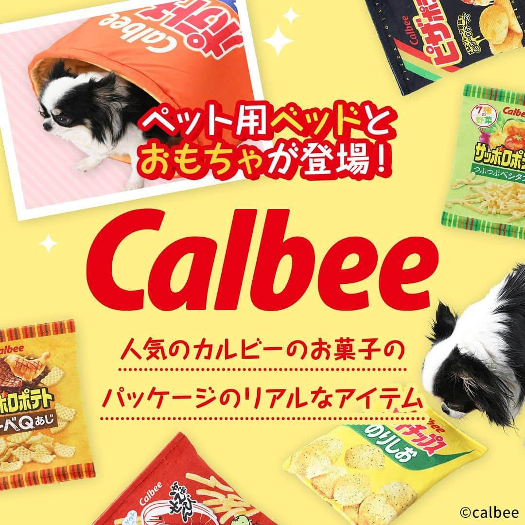 Caluluさんのインスタグラム写真 - (CaluluInstagram)「カルビーが販売する人気のお菓子のパッケージがリアルにデザインされたペット用ベッドとおもちゃが新登場💛  ワンちゃんにネコちゃんにもおすすめです🐶😻  可愛すぎて、ついつい写真を撮ってしまうこと間違いなし📸  #かわいいカルビー でぜひinstagramへ投稿してください🌼  皆様の好きなフレーバーをみつけてくださいね🧡  初回数量には限りがございますので、お早めに🐾  -----------------------------  Caluluオンラインショップは ▼プロフィールのlitlinkよりアクセス🐶 @calulu_dogwear  -----------------------------  #calulu #caluludogwear #カルル #カルルドッグウェア #癒しわんこ #わんこ部　#いぬすたぐらむ #犬のいる生活 #おしゃれわんこ #わんわん物語 #いぬのいる暮らし #いぬとの暮らし #カルルわんこの会 #カルルにゃんこの会 #ねこのいる生活 #ねこのいる幸せ #猫のいる暮らし #ねこすたぐらむ #ねこ部 #ペット用品 #ペットグッズ #ペットアイテム #ペットベッド #calbee #カルビー #カルビーペット #写真映え #かわいいフォト #おもしろフォト」8月4日 15時57分 - calulu_dogwear