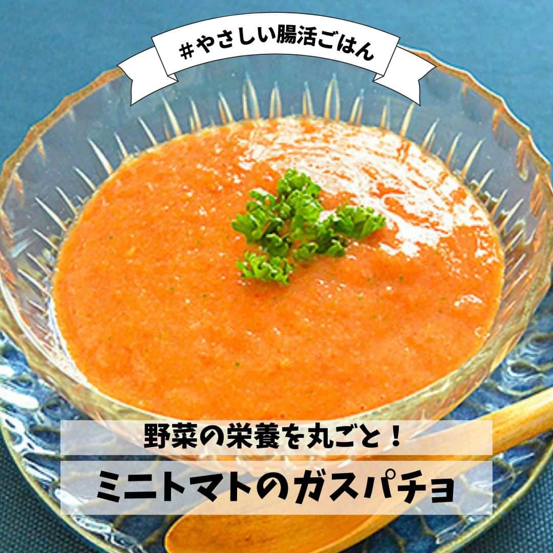 イチジク製薬株式会社のインスタグラム：「✨野菜の栄養を丸ごと！✨  みずみずしい野菜が美味しく感じる夏☀️ 食欲がない時の栄養補給にもおすすめな、サラダのようなスープのご紹介です🍅  詳しいレシピは『イチジク製薬　レシピ』で検索してみてくださいね👀 https://ichijiku.co.jp/recipe/2018_06 . . . #イチジク製薬 #イチジク浣腸 #いちじく浣腸 #ichijiku #やさしい腸活レシピ #かんちゃん #トマト #ミニトマト #ガスパチョ  #快腸 #腸活 #腸ケア #献立日記 #献立ノート #便秘対策 #便秘解消  #便秘 #便秘改善 #便秘ちゃん #暮らしのアイデア #美容食 #健康レシピ #食物繊維たっぷり #献立決め」