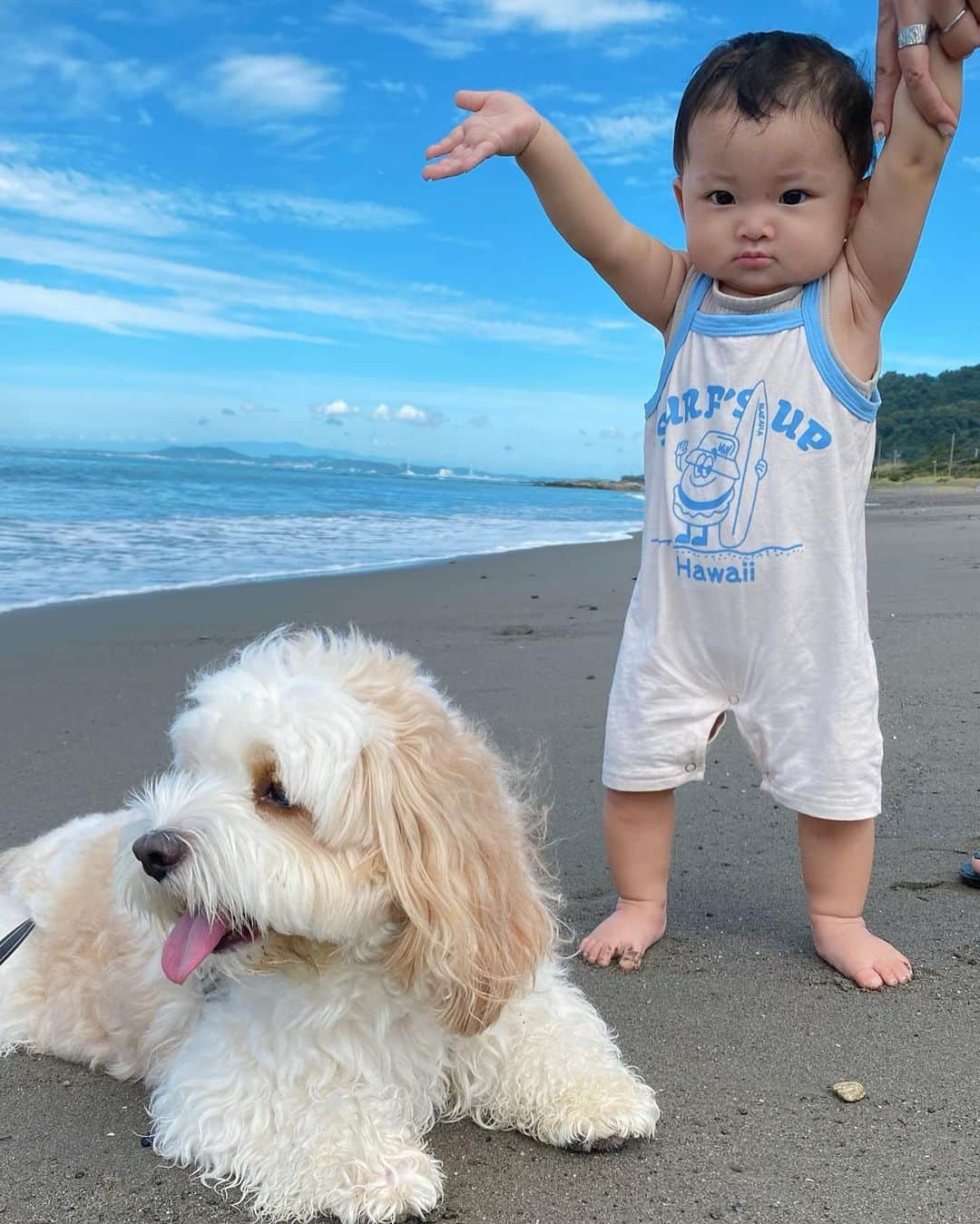 宮原幸恵さんのインスタグラム写真 - (宮原幸恵Instagram)「うーみーっ👶🏻🐶🌊  見事に反応が 正反対だったふたり。笑  モチモチはじめての砂浜に わけがわからずフリーズ状態😂💦  足の裏の不思議な感覚に 片足あげたり 爪先立ちをしたり… 困惑してました😂💦  朝早起きだったから眠かったのと 晴れてて眩しかったのもあって ずーっとしかめっつら🤨笑  可愛い🤣🤣  でも普段あんだけアクティブガールなら 海好きだと思うんだよなぁ🤔🛟  また来年リベンジしてみようね❤️  あんちゃんはもう大喜び テンション爆上げ 大ハッスルでした🤣🤣🤣  砂浜走るのが気持ちいいのか ひらけた景色が心地いいのか 海はとっても好きみたい🐶♪  そのうちふたりで 走り回る日が来るのかな🤭❤️  #モフモフとモチモチ #モフモフとモチモチの夏休み」8月4日 16時31分 - yu.ki.0117