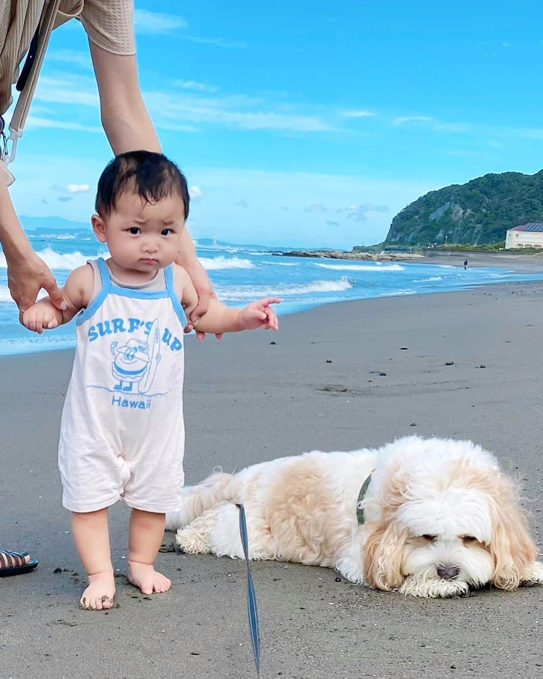 宮原幸恵さんのインスタグラム写真 - (宮原幸恵Instagram)「うーみーっ👶🏻🐶🌊  見事に反応が 正反対だったふたり。笑  モチモチはじめての砂浜に わけがわからずフリーズ状態😂💦  足の裏の不思議な感覚に 片足あげたり 爪先立ちをしたり… 困惑してました😂💦  朝早起きだったから眠かったのと 晴れてて眩しかったのもあって ずーっとしかめっつら🤨笑  可愛い🤣🤣  でも普段あんだけアクティブガールなら 海好きだと思うんだよなぁ🤔🛟  また来年リベンジしてみようね❤️  あんちゃんはもう大喜び テンション爆上げ 大ハッスルでした🤣🤣🤣  砂浜走るのが気持ちいいのか ひらけた景色が心地いいのか 海はとっても好きみたい🐶♪  そのうちふたりで 走り回る日が来るのかな🤭❤️  #モフモフとモチモチ #モフモフとモチモチの夏休み」8月4日 16時31分 - yu.ki.0117