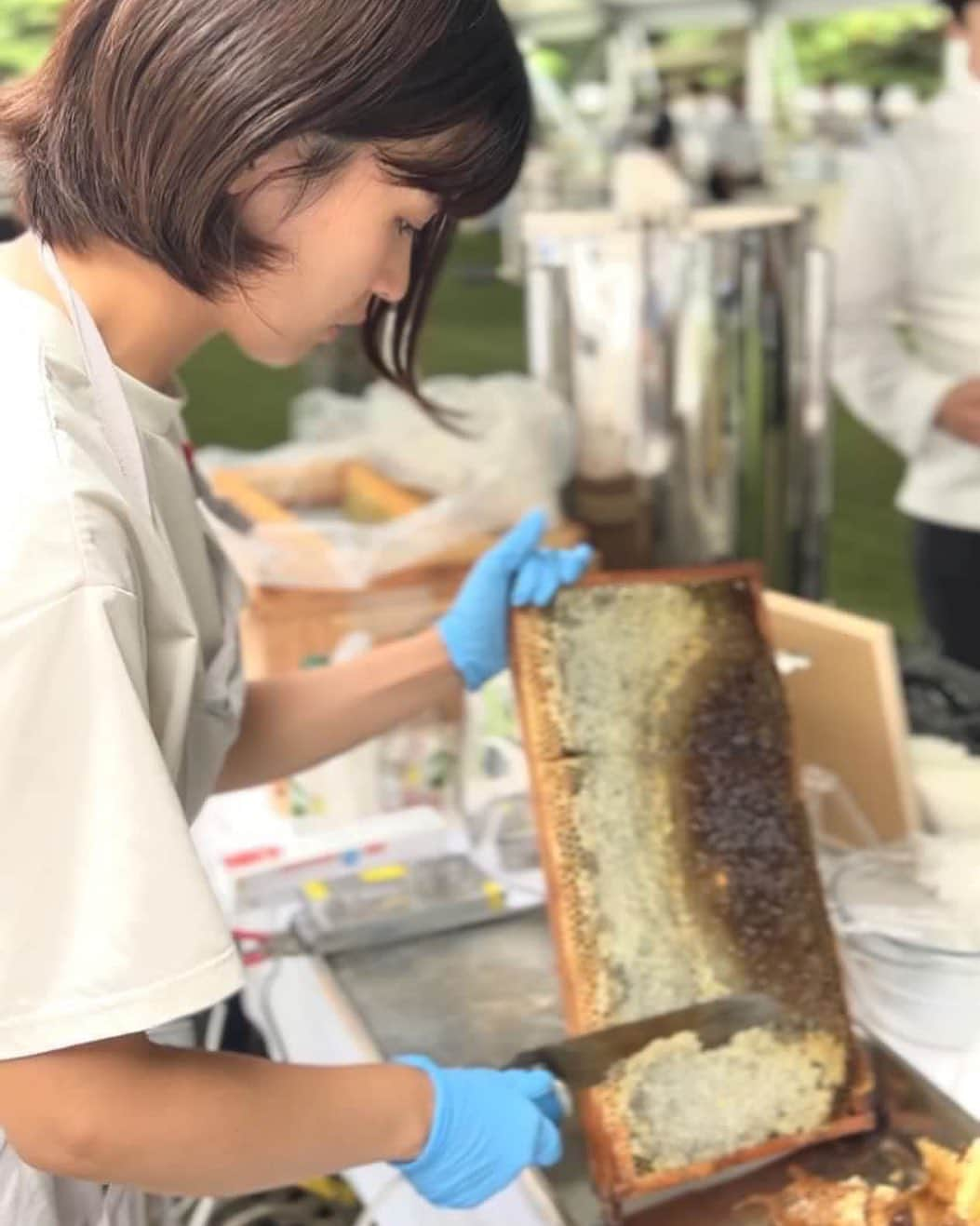 フランス大使館さんのインスタグラム写真 - (フランス大使館Instagram)「フランス大使館内の緑化計画の一環として設置されていた養蜂箱🌷🇫🇷先日のフランス革命記念日祝賀レセプションにおいて、なんと採蜜の実演をしていただきました❣️🐝大使館で採れた蜂蜜の美味しさにおどろき＆感動！✨パリでは歴史的建造物や美術館屋上での養蜂が活発に行われています。昆虫の少ない都会で蜜蜂は受粉や結実をお手伝いしてくれます🌷」8月4日 16時33分 - ambafrancejp