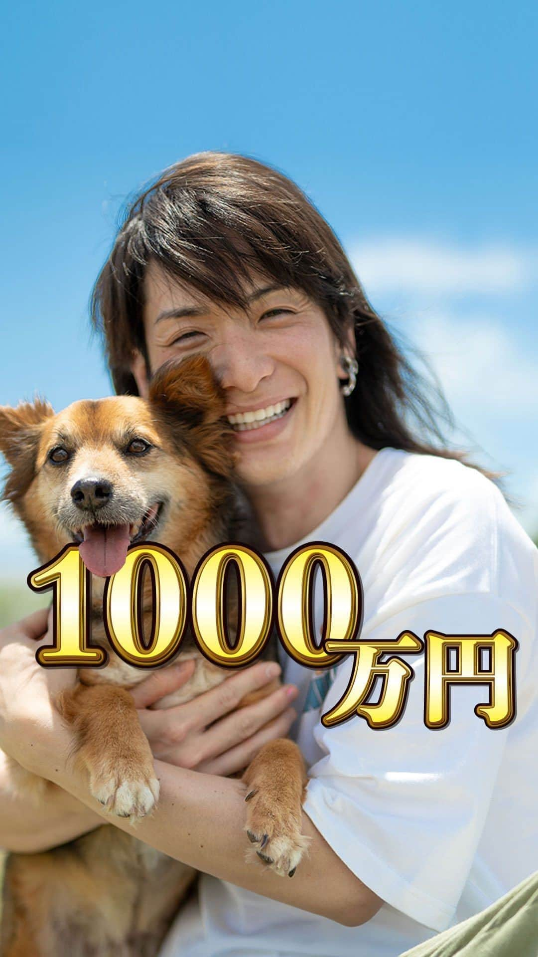 小野裕人のインスタグラム：「お金はなくなっても、わんちゃん達のうれしそうな姿を見て、やってよかった！と元気をもらえました。 ついに完成しました！宮古島ドッグランのご報告です。 2022年5月、個展での収益700万円全額を使って 犬保護施設「宮古島セーブザアニマルズ」に隣接した土地430㎡を購入。 わんちゃんたちが自由に走り回れるドッグランを作ると宣言。 その後、フェンスを建て、自分たちで芝を植え 草取り、芝刈りに通い、ようやくドッグランができました！  作品やグッズを購入してくださったり応援してくださる皆様あってのことです。本当にありがとうございました。 そして、また次の目標を計画中です！楽しみにしていてください。  補足 坪単価5万円x130坪＝650万円 各手数料＝50万円　 土地代：約700万円 芝　12万8千円　 フェンス　73万6千円 施工費・基礎工事　47万6千円 全額寄付カレンダー2022年度：150万円 etc... 合計：約1,000万円  ・土地は無料で使っていただきます。 ・固定資産税やその他の税金 　水道代やドッグランの維持費などは 　全てこちらで負担します。  @save.the.animals385 #宮古島セーブザアニマルズ#ボランティア活動#宮古島#animalshelter#animallover #animalprotection#gopro#yuuto0514#yutoono#一眼レフ#保護犬#みんないい子#また一つ夢が叶った」