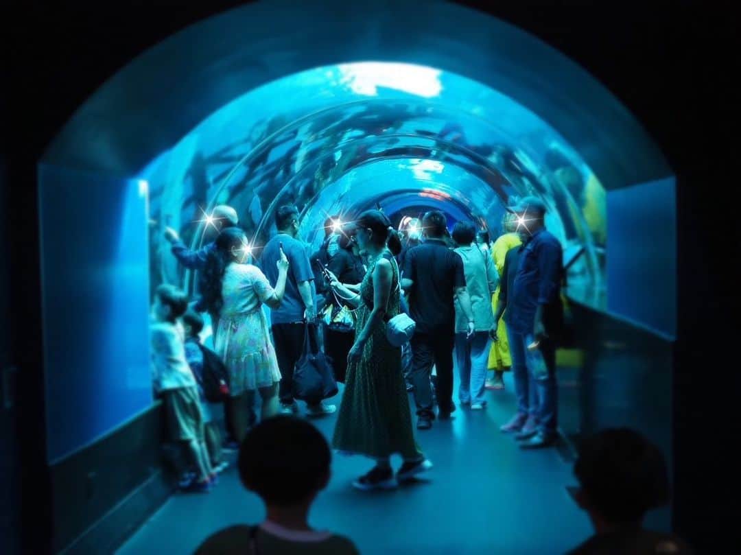 保田圭さんのインスタグラム写真 - (保田圭Instagram)「シンガポールの セントーサ島にある 水族館にも行ってきました🐠✨  すごく大きな水族館で 見応えありました💓  息子はというと…  女の子のお友達と 手繋いで歩いて お互いに写真撮りっこしたり…  まるでデートでした🥰🫶  おませな5歳児 可愛かった💜  #シンガポール #ママ友との旅 #seaaquarium」8月4日 16時45分 - keiyasuda1206