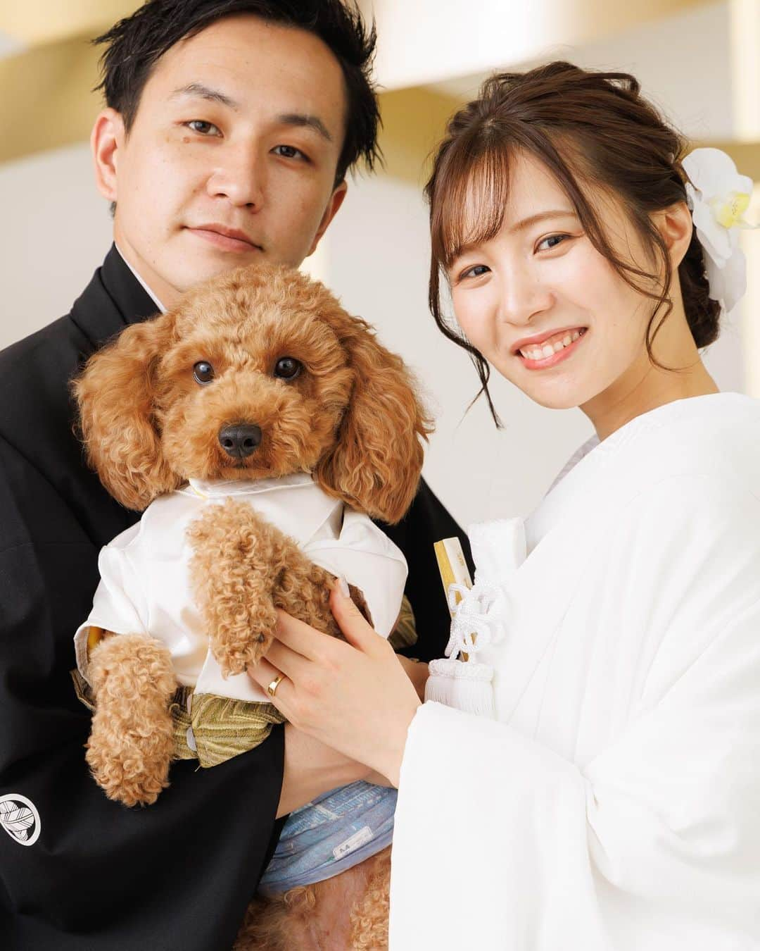 【公式】小さな結婚式さんのインスタグラム写真 - (【公式】小さな結婚式Instagram)「. @petit.wedding をフォローしてね♩ #小さな結婚式 をつけてのお写真投稿も大歓迎です♡ こちらの公式IGでリグラムさせていただきます＊ . 家族の一員でもある 大切なわんちゃんとの前撮り撮影！  大好きなおふたりに抱きかかえられて わんちゃんもこの笑顔✨ 幸せそうな雰囲気がしっかりと伝わってきます。 . >>#小さな結婚式大宮店 . ——————— #petitwedding #ラヴィファクトリー #前撮り #結婚式 #プレ花嫁 #卒花 #家族婚 #少人数結婚式 #ウェディング #wedding #bridal #weddingdress #花嫁 #挙式 #結婚式準備 #式場探し #日本中のプレ花嫁さまと繋がりたい #結婚式の思い出に浸る会 #結婚準備 #埼玉花嫁 #ウェディングフォト #花嫁コーディネート #ペットウェディング #トイプードル #フォトウェディング #白無垢 #和婚 #和婚をもっと盛り上げたい」8月4日 16時58分 - petit.wedding