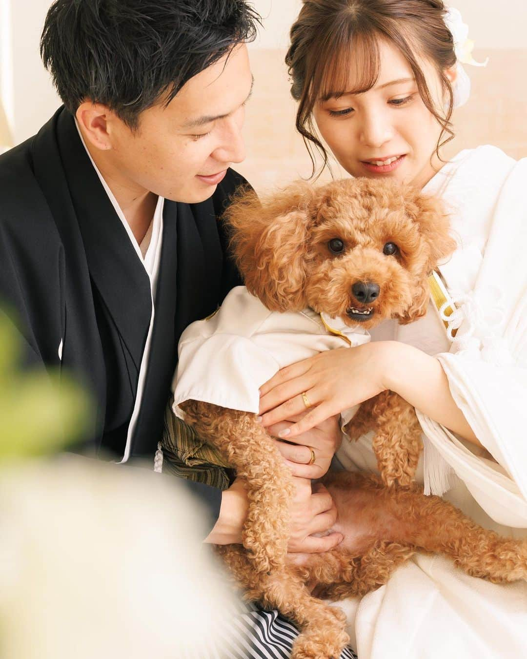 【公式】小さな結婚式さんのインスタグラム写真 - (【公式】小さな結婚式Instagram)「. @petit.wedding をフォローしてね♩ #小さな結婚式 をつけてのお写真投稿も大歓迎です♡ こちらの公式IGでリグラムさせていただきます＊ . 家族の一員でもある 大切なわんちゃんとの前撮り撮影！  大好きなおふたりに抱きかかえられて わんちゃんもこの笑顔✨ 幸せそうな雰囲気がしっかりと伝わってきます。 . >>#小さな結婚式大宮店 . ——————— #petitwedding #ラヴィファクトリー #前撮り #結婚式 #プレ花嫁 #卒花 #家族婚 #少人数結婚式 #ウェディング #wedding #bridal #weddingdress #花嫁 #挙式 #結婚式準備 #式場探し #日本中のプレ花嫁さまと繋がりたい #結婚式の思い出に浸る会 #結婚準備 #埼玉花嫁 #ウェディングフォト #花嫁コーディネート #ペットウェディング #トイプードル #フォトウェディング #白無垢 #和婚 #和婚をもっと盛り上げたい」8月4日 16時58分 - petit.wedding