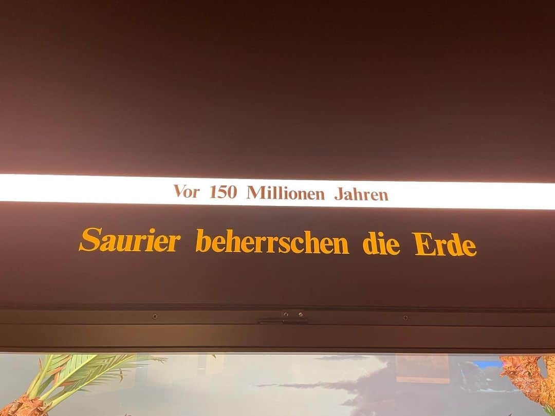 原沙知絵のインスタグラム：「今回の旅の目的は、コロナ禍で会えなかった海外に住む友人達と会う事！海外でたくましく生活する友人達にやっとゆっくり会えて嬉しかったです。 パリ、ロンドン、ミュンヘンの3カ国を回り、各国で一つだけは行きたい場所を決めてそれ以外は天気や気分によって行動範囲は決めました。最後に訪れたミュンヘンでは友人はSchloss Nymphenburgに興味があり、私は同じSchloss Nymphenburgの敷地内にある自然史博物館に行きたかったのでお互い時間を決めてまた再会することに。私は子供の頃から1人で自然史博物館に行くのがとにかく好きで、小学生、中学生時には福岡の博物館に入り浸っていました。その時にタイムスリップしたかのようにミュンヘンの博物館は何処か懐かしく、広すぎず、そして人が少なく、ドイツのデザインと少し古臭い感じの匂いがたまらなく、最高に萌えました。 そしてここも観覧無料！ワオー！ 🦕🐬🍄🫎🌲🦚🥹  #旅 #journy #münchen  #自然史博物館 #自然史博物館好き  #MuseumofManandNature #SchlossNymphenburg」