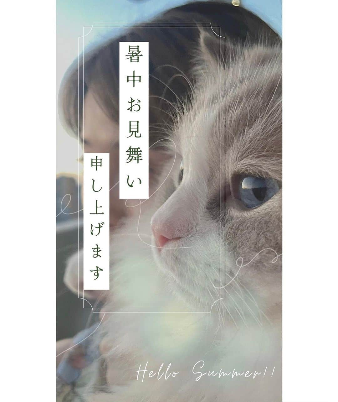 大森日雅さんのインスタグラム写真 - (大森日雅Instagram)「暑中お見舞い申し上げます🫧🎐⢄⠜☽ ⁡ 夏バテしてはいませんか？ 🧊🍉🧊🍉🧊🍉🧊 わたしは夏丸というスイカを1玉買って毎日切ってたべています♡ 食べきれなかったら毎朝スムージーに✨ チョコミントアイスもほぼ毎日たべています。 （今年はチョコバッキーにハマった） 鰻はたま~にたべます。毎日たべたいです。 暑いので休日はお家でごろごろ映画を観たり、ふくまるはなまるとおもちゃで遊んだり転がってたり、夜は週1の筋トレ＆サウナで自律神経もととのえています。（筋トレは週1じゃないとムキムキになるのでちょうどいい感じ） ⁡ 夏は暑くて夜中起きたりしないように、テアニンサプリを飲んだり、ハーブティーでぐっすり睡眠もとれて、例年の夏より健康です。 ⁡ 暑いとキッチンに立つのも辛いから素麺とか外食になりがち。食生活も気をつけていこう~！ 私みたいに冷たいもの食べ過ぎに気をつけて、暑い夏を乗り越えていきましょう🌿🎐🍉 ⁡ 🧊🧊🧊🧊🧊 今年は実家の家族にもハガキを今日届くように出してみました~🎆🍉🎐 ドラえもんのかわいいやつ。 ⁡ 事務所に届いたファンの皆からの暑中お見舞いも嬉しいです~！ありがとうございます☺︎ ⁡ p.s. 今日8/4は一粒万倍日＋天赦日＋大安✨というつよつよつよつよの超最強開運DAY✨ なにする〜？ ⁡ #暑中お見舞い #立秋まで」8月4日 8時25分 - nichika_omori