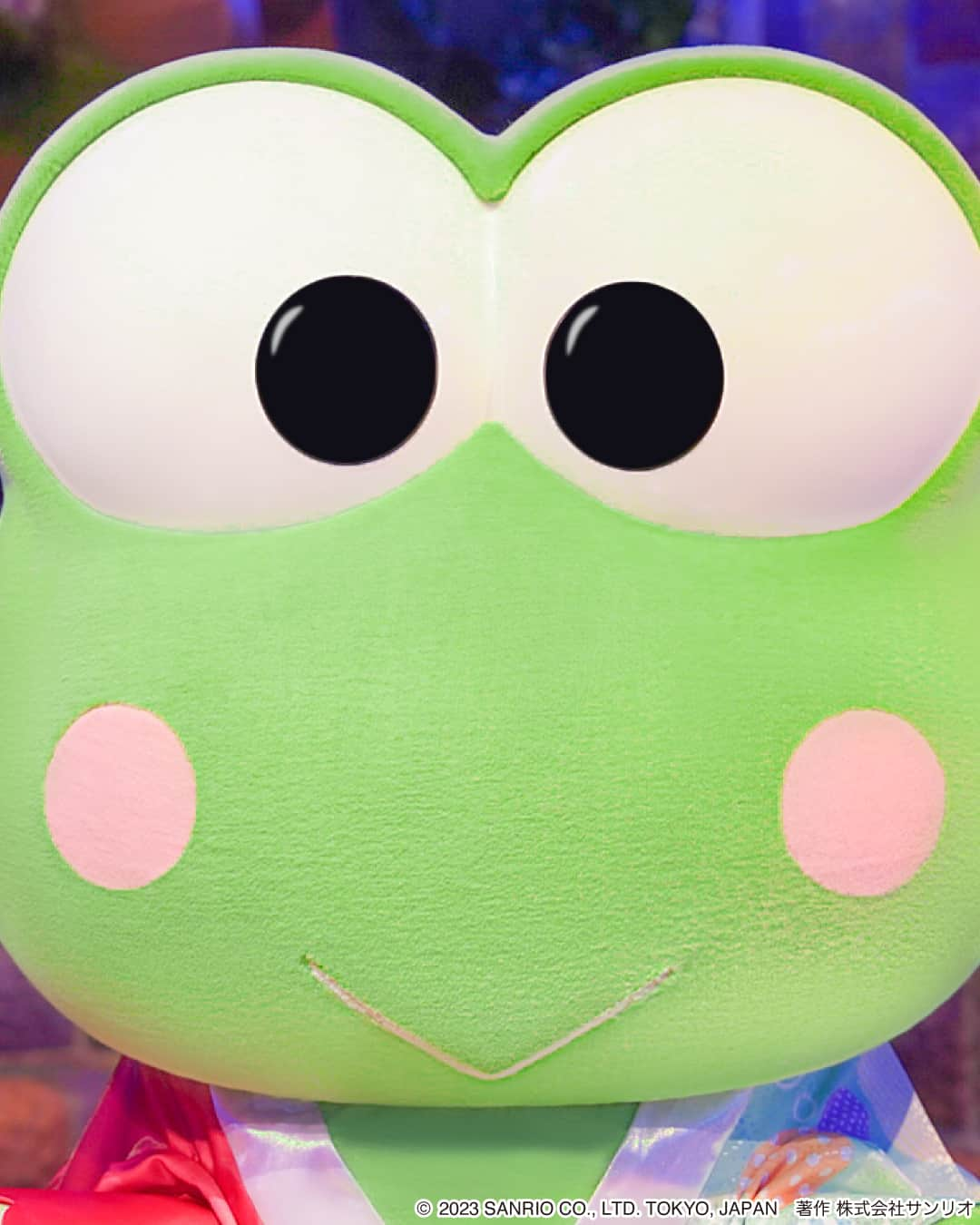 Sanrio Purolandのインスタグラム：「【スワイプ推奨💚】  元気いっぱい！けろけろけろっぴの姿をお届け🐸✨  けろけろけろっぴの趣味は、ピクニックに行ったり、冒険したりすること♪ この夏に体験する人はいるかな？🌟  #ピューロでキャンプ #サンリオピューロランド #sanriopuroland #ピューロランド #ピューロジェニック #ピューロ #サンリオ #けろけろけろっぴ #けろっぴ #テーマパーク #サンリオ好き #推し事 #推しのいる生活 #かわいいものが好き #ピューロ写真部 #ゆめかわ #ゆめかわいい #KAWAII #ピクニック #冒険」