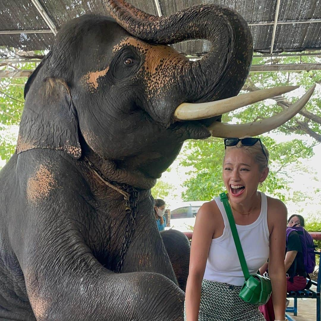 椿彩加さんのインスタグラム写真 - (椿彩加Instagram)「おっぱぉ〜ん🐘🇹🇭 タイ名物ぞうさんに乗ってきたゾウ 写真撮れるよって言われて撮ったんだけど お鼻巻かれるの聞いてないゾゥ？ 白い服ゾウ汁まみれになった😇 いい思い出〜📷  #喜怒哀楽 #表情の移り変わりどうぞご覧くださぁ〜い #笑いすぎて #顎関節症 #治るかと思った #タイ #ゾウさん #この子かわいい #ちゃんとこっち見てる #途中白目になってんで #ダンボ #thailand #🇹🇭」8月4日 9時11分 - ayaka_tsubaki23