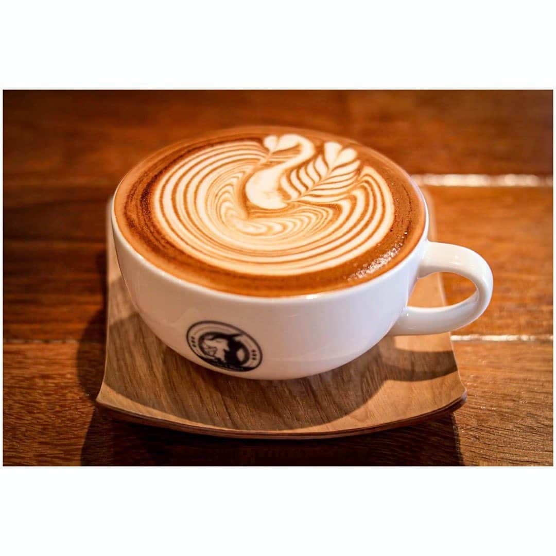 宮本笑里さんのインスタグラム写真 - (宮本笑里Instagram)「芸術的なラテもバスチー、ガトーショコラも 幸せの味。  最後の4枚目は、某有名店のレシピを真似して 作ったもの。（行列で入れない🥹） 焦げ感も、とろとろ具合も上手くできた😳  #tokyo #japan #coffeetime #ラテアート #バスクチーズケーキ @cafe_1_part  @6thbyorientalhotel #レシピ」8月4日 10時23分 - emirimiyamoto