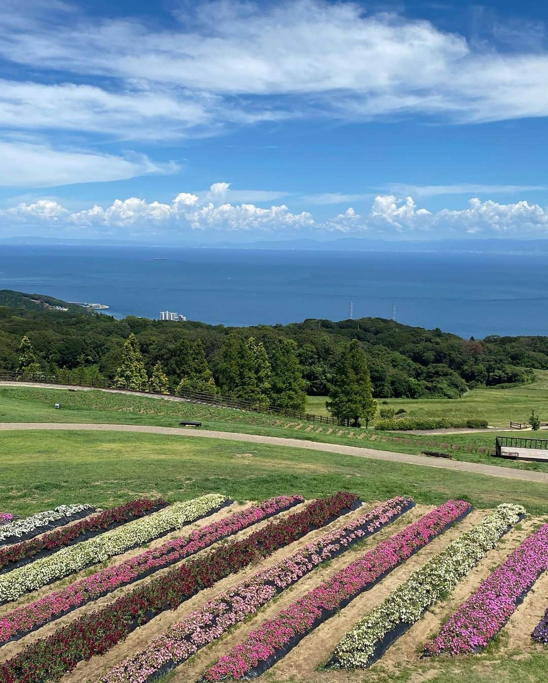 小泉里子さんのインスタグラム写真 - (小泉里子Instagram)「初めての淡路島  のんびりと穏やかな海に囲まれた 素敵な島。 またすぐに来たくなった。  今回はホテルステイだったから 次回は島のあちこちにある レンタルヴィラに泊まってみたいな。  海と山がこんなに近くて 両方を楽しめる 最高の場所でした。  #awajishima」8月4日 10時47分 - satokokoizum1