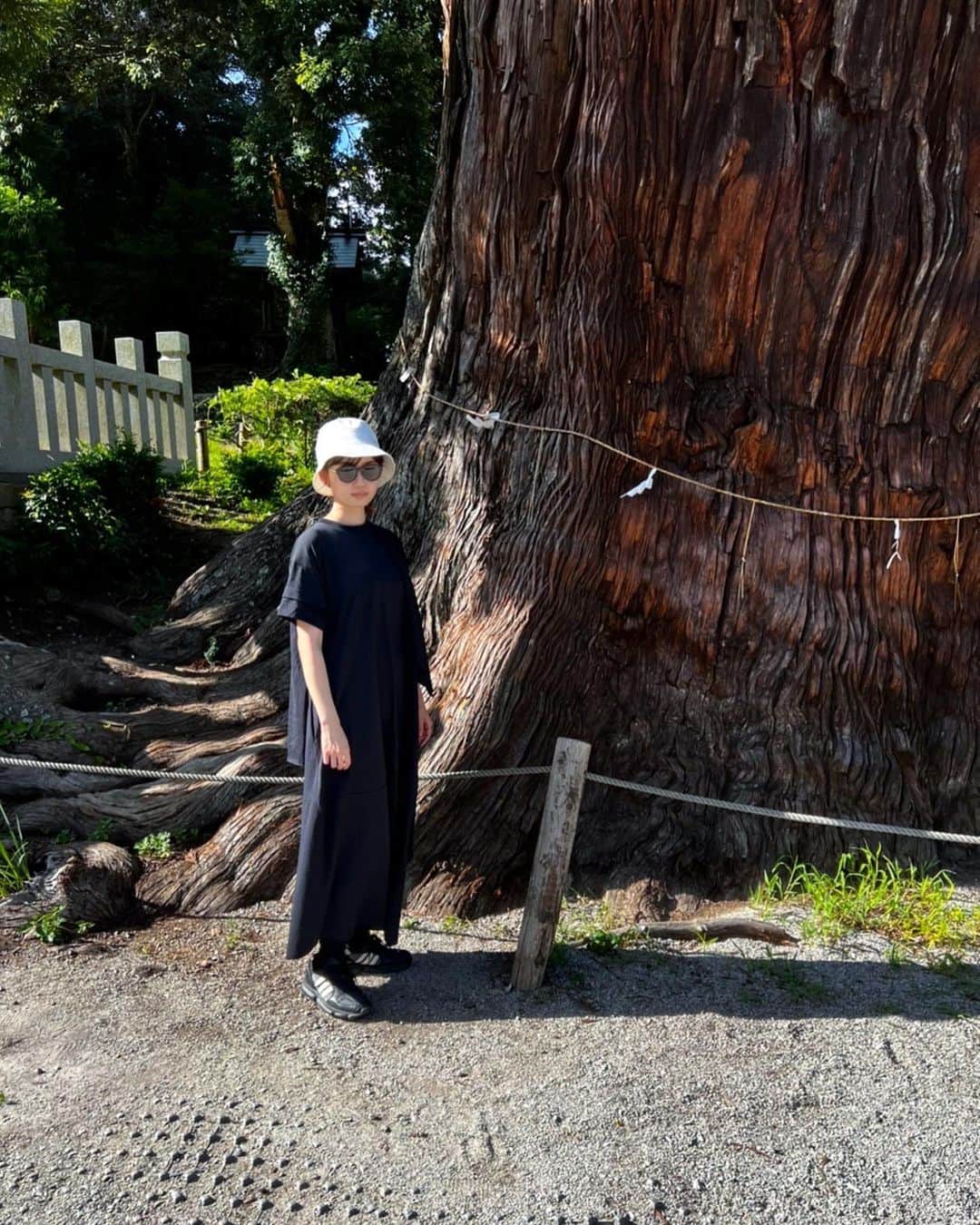 田中瞳さんのインスタグラム写真 - (田中瞳Instagram)「. 凄まじいサイズの自然が突如現れるたびに脳内で銅鑼が鳴ります。この鳥居をくぐった瞬間空気がヒュッと冷たくなる。ここに行かれた皆さんそうでしょうか？  #島旅」8月4日 11時17分 - hitomi_tanaka_9