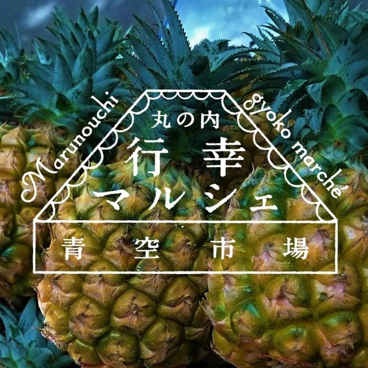 MEET at Marunouchiさんのインスタグラム写真 - (MEET at MarunouchiInstagram)「＼「毎週金曜日」は、丸の内行幸マルシェ🍉／  【日時】8月4日(金)・18日(金)・25日(金)11:30-19:30 ※8月11日(金)は祝日のためお休みです。 【場所】行幸地下通路  東京駅直結・丸ビルと新丸ビルの間の行幸地下通路で、安心でおいしい季節の食材や食品を中心に生産者が直接販売しています👨‍🌾👩‍🍳  フレッシュな夏野菜🍅や果物🍇、こだわり素材の焼き菓子、ドライフルーツ＆ナッツ🥜、調味料、世界のワイン🍾、生花🌼、環境に優しい素材の雑貨etc.様々な商品をそろえた個性豊かな店舗が集合！  店主たちとのおしゃべりも楽しい、都会のど真ん中の市場にお立ち寄りください🙌  【8/4 出店予定】※変更となる場合があります。 ✅Connect Farm（コネクトファーム） @yaoyacafe_wagoudou  ✅ニチモウフーズ ✅皆美館 ✅ドゥトップ ✅オリエンタルジュノー ✅アトリエ・ドゥ・フルール @atelier_de_fleur  ✅青空市場セレクトショップ @aozora.ichiba  ✅エスタリコジャパン @estarico_japan  ✅サンクロレラジャパン  ✅カトレヤ・フィールド @katoreya_field_official  ✅ローカル・ワン ✅オーストリアのワイン セナー @senna_tsuiki  ✅旅先市場めるかど @mercado.fruit  #大手町 #丸の内 #有楽町 #東京 #tokyo #東京駅 ＃marunouchi #東京観光 #丸の内行幸マルシェ #青空市場 #行幸地下通路 #丸ビル #新丸ビル #産直 #マルシェ #マーケット」8月4日 11時15分 - marunouchi_com