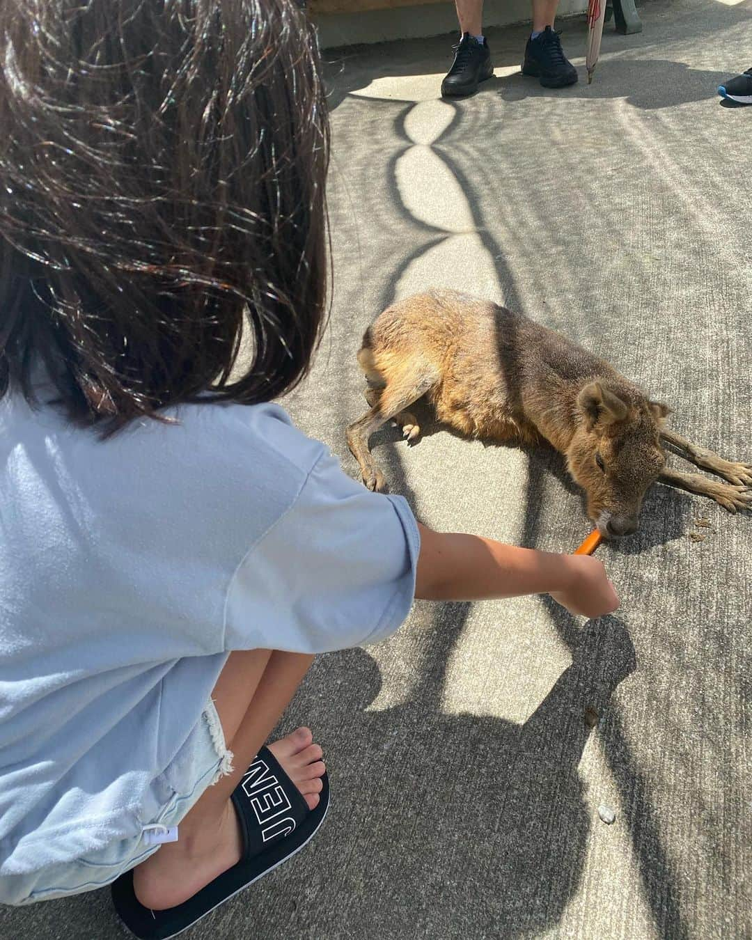 水元秀二郎さんのインスタグラム写真 - (水元秀二郎Instagram)「本日は愛娘とお友達を引き連れて、熊本は阿蘇ファームランドへ。動物と触れ合い、その後は手作りキャンドル制作へ。 お店の方も覚えて下さってて、くじ引きや、アイスコーヒーをサービスしてくれました☺️ いい思い出が今年も作れたファームランド。手作りのお店の社長さん、スタッフさん、本当にありがとうございました。 #水元秀二郎#愛娘❤️#２人のエルサ#お友達#夏休み#阿蘇ファームランド#手作りキャンドル」8月4日 17時12分 - gangsta.hidejiro