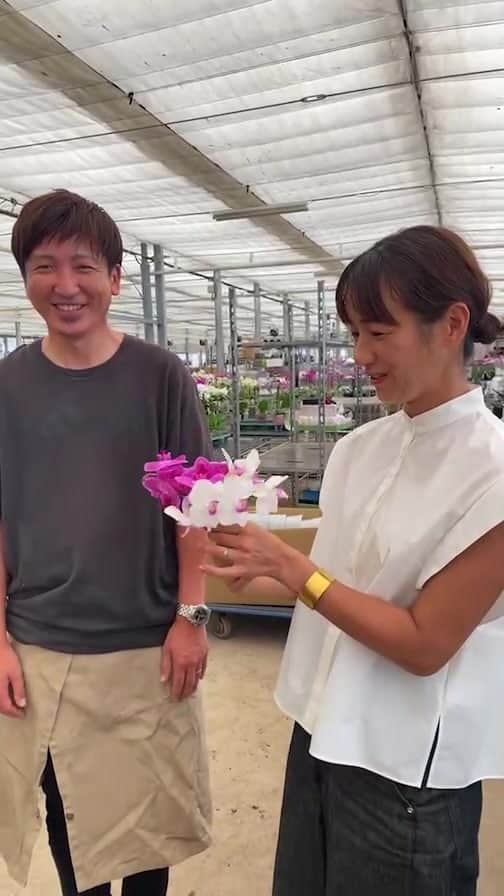 前田有紀のインスタグラム：「今日もよいお天気ですね！朝の市場での仕入れのあと、ずっと行きたかった椎名洋ラン園にいってきました。  8月30日インターコンチネンタル東京ベイさんで開催されるアフターヌーンティー「サマーフルーツと胡蝶蘭の楽園を楽しむ アフタヌーンティー with オーキッドビューティー」向けて、千葉県にある椎名洋ラン園さんを取材してきました。  圧巻のランの栽培のハウスとご家族の和気藹々とした空気のインスタライブでした。知ってるようで知らないことが多い、ランの世界。もっと身近になりますように！  - イベント詳細 - ○日時：8月30日(水) 11:30~14:30  12:00~12:25 ワークショップ 12:40~13:20 前田有紀とファッションモデル神戸蘭子さんによる スペシャル対談 オーキッドビューティの椎名氏より美容液の紹介  (12:40よりアフタヌーンティー提供)  定員：48名 場所：レインボーブリッジビューダイニング&シャンパンバー マンハッタン 料金：1名様¥13,200(税金・サービス料込み) 【ご予約・お問合せ】  @intercontitokyobay のHP or 0570-000222(ナビダイヤル)  今日の取材の服は blouse: @lephil_official  denim: @and__her   #イベント#アフタヌーンティー#デザート#ヌん活#afternoontea #インターコンチネンタル東京ベイ」