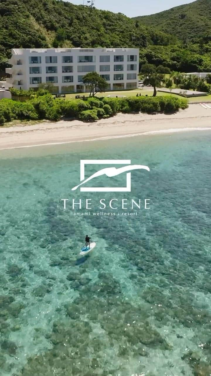 HOTEL THE SCENE -ホテル ザ シーン- のインスタグラム