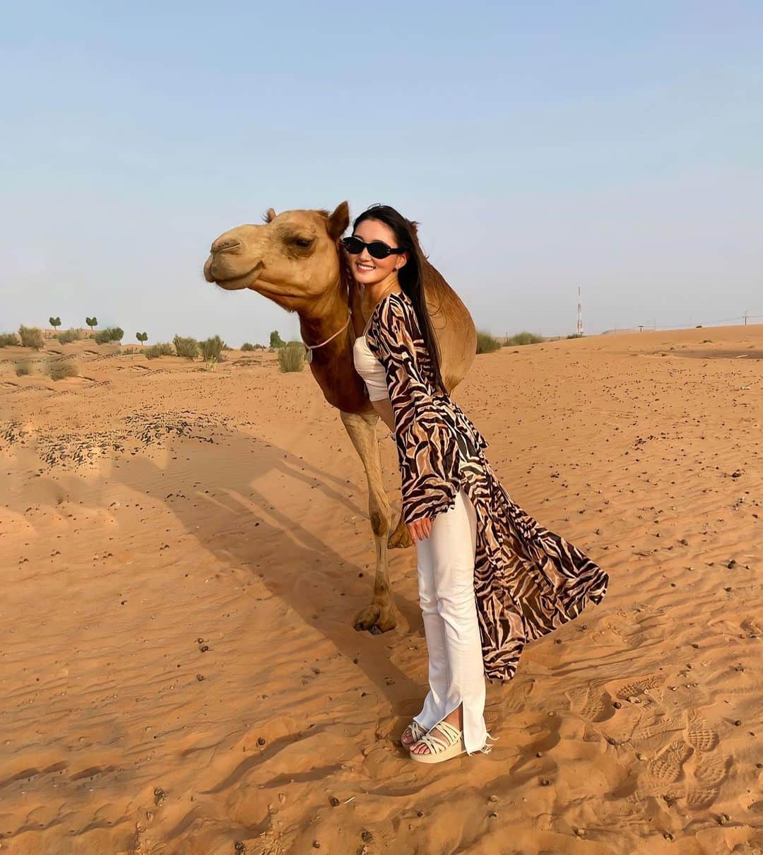 岩波彩華のインスタグラム：「camel smile🐪❤️  #desert #dubai」