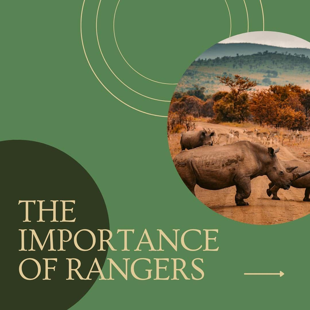 ブリアナ・エヴィガンのインスタグラム：「There are many reasons as to why rangers are important, from wildlife conservation to the  preservation of our eco-systems.   Their dedication and hard work deserves endless recognition and support.   #conservation #africa #communityfirst #foodsecurity #sustainability」