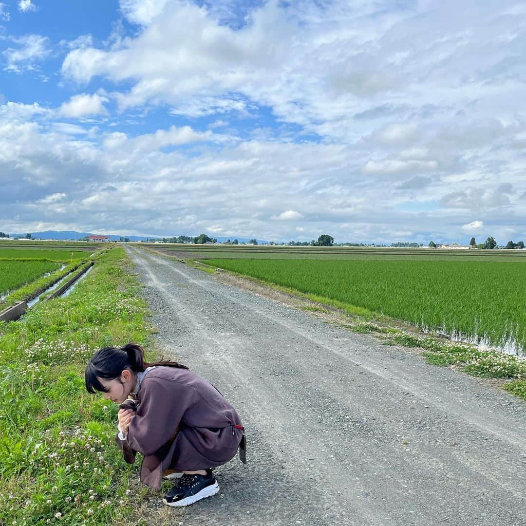 雪見みとさんのインスタグラム写真 - (雪見みとInstagram)「あす8月5日(土)18:55~  BS12「SDGsらぼ」#36 放送です！  写真はSDGsらぼで秋田県横手市にロケに行った時の思い出🥬  食べ物ばっかりwww  のんびりした景色と美味しい食べ物、サステナブルな農業の在り方を実際に体感できて楽しいロケでした！  今週の放送もたぶん先週に引き続き秋田回かな？  これまでの回はYouTubeにも上がっているのでぜひご覧下さい！  1本5分とかだから空き時間にサクッと見てね👐🏻   #秋田  #横手  #SDGs  #SDGsらぼ」8月4日 19時08分 - yukimi_mito