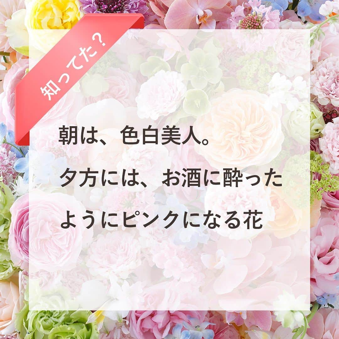 雑誌『花時間』のインスタグラム