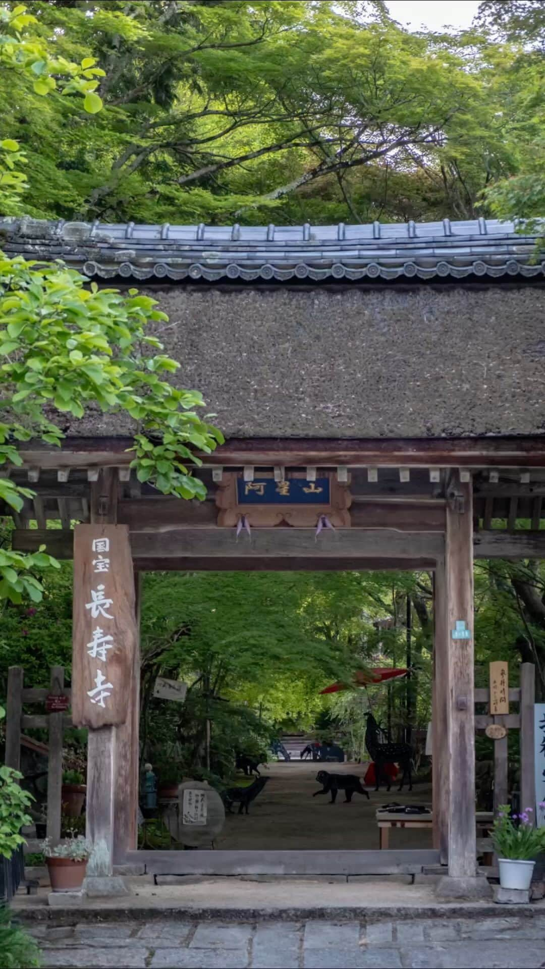 あや ◡̈*❤︎ayaのインスタグラム：「. 📝長寿寺（滋賀県湖南市） フォトコンテスト開催のお知らせ  湖南市観光協会様との共催により、長寿寺の魅力を沢山人に知っていただくため「長寿寺フォトコンテスト2023」を開催します。  あなたのとっておきの「長寿寺」を 写真に撮って是非ご応募ください🤲  ┈┈┈┈┈┈┈┈┈ ✨コンテスト概要✨  【テーマ】 生きる　国宝伽藍の寺  【応募資格】 長寿寺公式ＨＰに掲載している 応募規約に同意する方  【応募期間】 令和5年9月1日（金）～9月30日（土）  【結果発表】 令和5年10月15日（日） 長寿寺公式インスタグラムアカウント 長寿寺公式ＨＰにて。  【応募方法】 ①長寿寺公式インスタグラムアカウント @chojyuji_official をフォロー ②下記ハッシュタグ 「#長寿寺フォトコン2023」 ③タイトル・コメントを記載して 写真を投稿してください  【規格など】 応募者が撮影した未発表の写真で応募してください。ただしSNSなどで私的に公開したにとどまる作品、審査のない写真展に出品した作品は応募可能です。  その他、詳細は長寿寺公式ＨＰ（https//chojyuji.jp)をご確認ください。 ※肖像権の侵害などが生じないよう、応募者本人の責任で対応してください。  【入賞・賞品】 最優秀賞  １点（一年間拝観無料、開門前１時間境内貸し切り権（１日のみ。貸し切り日は要相談）） 優秀賞　３点（拝観無料券５枚、長寿寺オリジナルご朱印帳） 住職特別賞　１点（拝観無料券５枚、切り絵御朱印）  【選考委員】 長寿寺住職　藤支良道 @chojyuji_official  湖南市観光協会局長　奥村通裕 @burari_konan   【協賛】 湖南市観光協会  ┈┈┈┈┈┈┈┈┈  #長寿寺　#湖南三山　#フォトコンテスト #長寿寺フォトコン2023 #滋賀観光 #紅葉名所   ※キャプション長寿寺投稿分より引用」