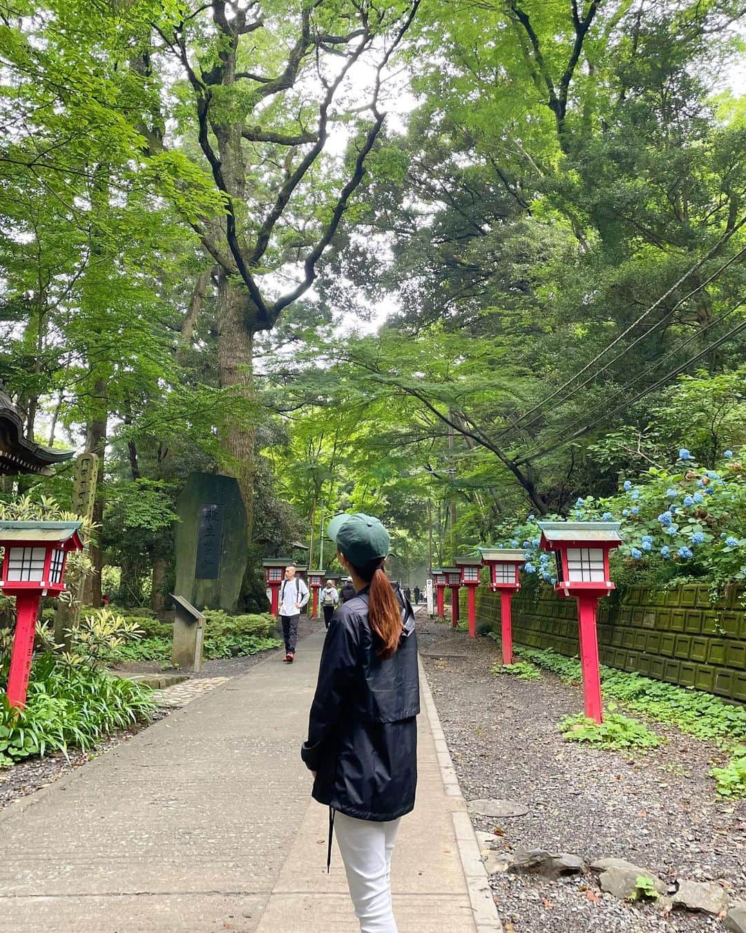 高木晴菜のインスタグラム：「キックオフフクオカのロケで、 八王子にある高尾山登山⛰  無事、頂上辿り着きました😆  3枚目は福島県の郡山ブラックと呼ばれるラーメン！ 美味しかったので記録📝🫶 また食べたいなぁ🍜  #高尾山  #八王子  #郡山ブラック」