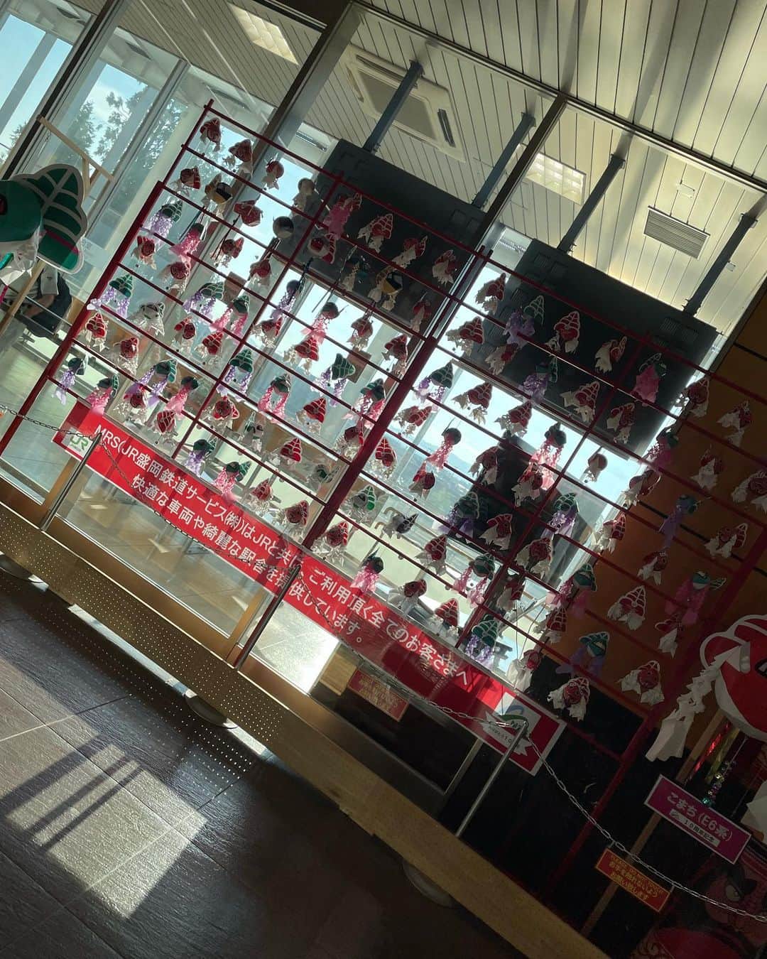前田隆太朗のインスタグラム：「青森に帰ってきました！ 弾丸帰省でしたけど数年ぶりにねぶたを見られて楽しかったなぁ〜 #青森 #ねぶた #ラッセラーラッセラー」