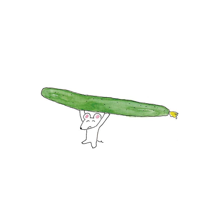 ハルペイさんのインスタグラム写真 - (ハルペイInstagram)「😆 初収穫〜✨ ベランダきゅうりができたよ! 毎日たくさんお水あげたり、棒たてたり、ヒヤヒヤ過保護に育てたよ🤣 みずみずしくて美味しい❤️ . #きゅうり#🥒 #ベランダ菜園  #収穫祭  #오이#黄瓜#🐭 .  #harupei#ハルペイ#doodle#draw#drawing#illustrator#illustration#japan#絵#雑貨#湘南#イラスト#イラストレーター#ゆるい#茅ヶ崎」8月4日 20時19分 - harupeipei