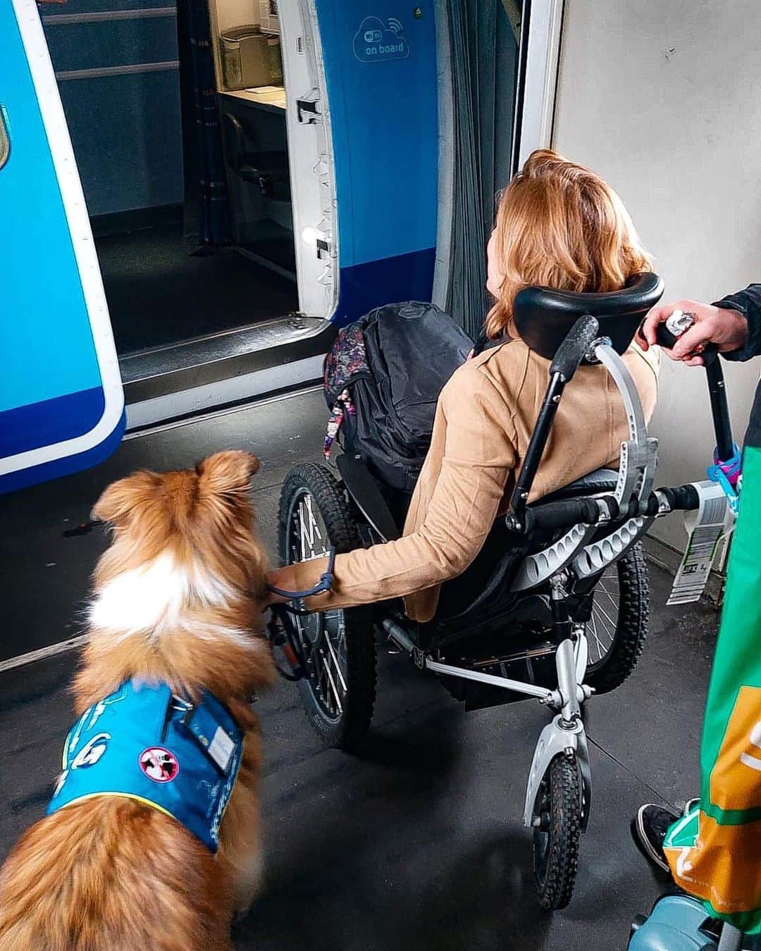 KLMオランダ航空さんのインスタグラム写真 - (KLMオランダ航空Instagram)「It's Assistance Dog Day! 🐾🦮 Here’s an appreciation post for all the dedicated, hardworking assistance dogs.   #AssistanceDogDay #ServiceDogDay #servicedog #assistancedog #dog #InternationalAssistanceDogWeek #KLM #royaldutchairlines 📷 by @natas_animallover」8月4日 20時14分 - klm