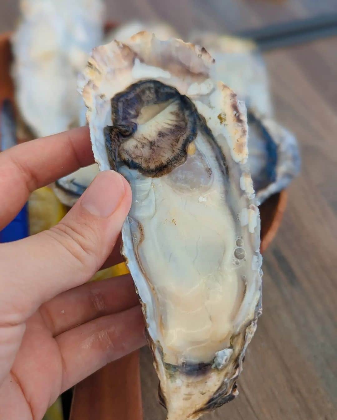 芳美リンさんのインスタグラム写真 - (芳美リンInstagram)「アウトドア×牡蠣のススメ。  冷凍で殻ごと届き、鮮度抜群！ クリーミーで濃厚、信じられないくらい美味しい＼(^o^)／  @hiroshima_oyster.official  広島県宮島産の牡蠣です。 実は昔、牡蠣苦手だったんですが、  広島旅行で牡蠣小屋& 宮島の牡蠣うどんを食べて、 牡蠣の美味しさに目覚めました。 今では大大大大大好物♡  牡蠣好きさんは、 ぜひチェックしてみて下さい！  #生牡蠣365#和田長浜#湘南SUPガール #アウトドアメニュー #生牡蠣#広島牡蠣 #アウトドア女子#和田長浜#湘南SUPガール #ビーチキャンプ」8月4日 20時22分 - lynn.lynn5