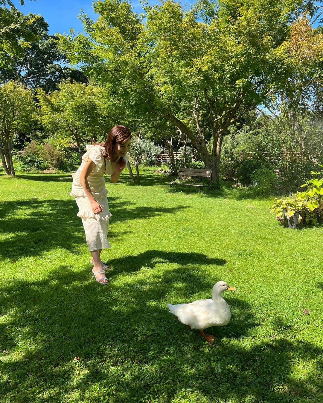 脇あかりさんのインスタグラム写真 - (脇あかりInstagram)「おおがファーム　@ogafarm_table   この季節に行ってほしい！！ 向日葵🌻しんけん、綺麗やったよ♡  🌻太陽に向かって咲いてるから、同じ方向に向いちょんすごぉぉ！！ってなった😳💗 語彙力？笑  こんな、庭最高すぎません？😍 のどか〜 アヒルさんに逃げられたけど🥺  休日ゆっくり自然に囲まれて過ごすプランなんてどうでしょう？？  何時間でもいれる🥺💕  #大分　#大分観光　#大分観光スポット #日出町　#観光スポット #観光　#oita #向日葵　#大神ファーム　#休日　#休日の過ごし方」8月4日 20時35分 - akari_waki_official