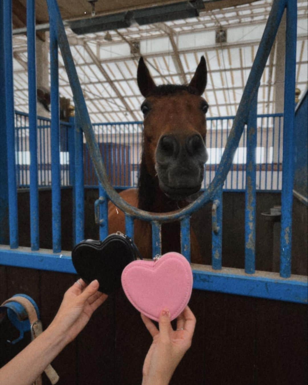 紗栄子さんのインスタグラム写真 - (紗栄子Instagram)「さて🐴🫐🌻  私がここ最近、毎日オンラインMTGで話し合っていたのはこちら🥰💖💖💖↓ジャジャーン🤗🎉  NASU FARM VILLAGEではお盆の時期もスタッフ一同、たくさんのコンテンツを準備して、皆様のお越しをお待ちしております🐎🎀💫🫶🏻  レストランやキッチンカーでは、ファームで採れたブルーベリーをふんだんに使用した、この季節ならではの大人気のブルーベリースムージーや、ファーム専属シェフ特製の美味しい冷麺メニューも夏季限定で提供致します🫐🥤🥗🧑‍🍳  そして、お客様とお馬さんの熱中症対策として、夏季の間は外でのホーストレッキング体験を、午前中のみの営業とさせて頂くことに決定致しました🐎🌤️！  安全を考えた上での変更ですが、それによって午後は厩舎の中でお馬さんたちと触れ合う「ホースセラピー」体験の枠を増やせることとなりましたので、お馬さんに乗るにはまだ勇気が必要というかたや、小さなお子様も参加されやすいプログラムとなっておりますので、お盆の予定をまだたてられていないかたは、是非お気軽にホースセラピー体験にファームに遊びにいらしてくださいね🐴🎀✨ 詳しい詳細やご予約は @nasufarmvillage のHPからお願い致します🐎🌈🫧  そして、11.12.13日は私もファームにて販売会に参加致しますので、皆様にお会い出来るのをとーっても楽しみにお待ちしております🥰🫶🏻💖🫧  この3日間は10時半からファーム限定セットの販売会に参加するのですが、ご購入されたお客様との記念撮影も行います📸🫶🏻👯‍♂️🫧  限定セットは毎日違う商品たちが入ったお得なセットとなっておりますので、詳しくは @nasufarmvillage のアカウントからチェックしてみてください🛀🫧💕  こちらの販売会の売上の一部も、他商品や弊社サービスと同様に当ファームの保護馬活動に充てさせて頂きます🐴🤲🏻💖🌿  そして、この日程でNASU FARM VILLAGEとしては初めてのサンプルセールも行います🐬🤍🫧  ファームグッズや @allisonbrown_closet のサンプル品を数量限定でご用意しておりますので、是非ファームにご来場いただいたかたは、そちらもチェックしてみてくださいね🐇🎀💖  サンプルセールだけではなく、NASU FARM VILLAGEから新しく誕生した @allisonbrown_closet のポップアップストアもこの日程で開催いたします🎀🎀🎀  当日ALLISON BROWNの商品を10,000円以上（税込）お買い上げのお客様と一緒に、15時から記念撮影も行いますので、アリソンファンの皆様もEC発売前のアイテムたちや再入荷したアイテムなど、一足先にチェックしにきてくださいね🐇🎀🫧  そして、人気のトラクターツアーも お客様の熱中症対策として夏季の間は通常のコースとは異なるコースで運行いたします🚜🌲  夏限定のコースは、ブルーベリーの収穫体験(約10分程)がセットになっておりますので、この機会に是非ファームの無農薬のブルーベリーの収穫体験もされてください🥰🫐🫶🏻✨  トラクターツアー中はドリンクを飲みながらご参加できますので、ファーム内のカフェで飲み物をご購入いただくなどして、熱中症対策を万全に行っていただきご参加いただけたらと思います🫡🫡🫡  天候により中止となるプログラムがあったり、急遽、販売会の時間変更や中止とさせて頂く場合もございますが、随時 @nasufarmvillage のインスタでお知らせいたしますので是非そちらをチェックしてください🤲🏻🌈✨  お天気がもつことを祈りながら、皆さまのご来場を心よりお待ちしております🥰🫶🏻🐎💕」8月4日 20時54分 - saekoofficial