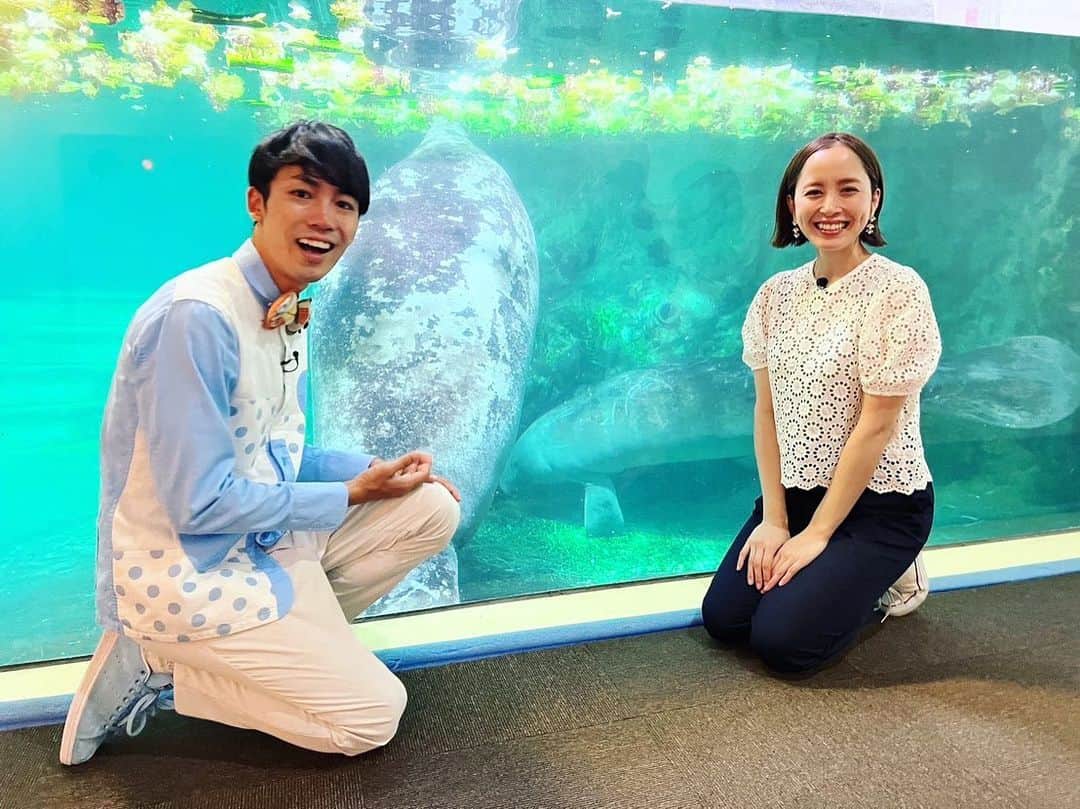 武田訓佳のインスタグラム：「🦭🐟🫧 ・ さかなのおにいさん かわちゃん @kawayanfishing  と一緒に水族館ロケ行ってきました🌼 ・ 香川県高松市の #新屋島水族館 へ🐟🩵 ・ ・ おっきい海獣マナティをはじめ 見どころ満載🤍🩵 わくわく楽しませていただきました😍 ・ オタリアちゃんとの写真嬉しい♡ ・ ・ 後半のアザラシちゃんは 私たち取材班が帰ろうとしたら こっそり覗き見してくれてた🦭🩶 かわいすぎるぅ…🦭🩶きゅん🩶 ・ ・ ロケの合間に出会った サカサクラゲちゃんは動画です🪼 ・ 逆さまで沈んでる、この状態が正常らしい😳 ほかにもあちらこちらに 不思議で美しい世界が広がってました💙 ・ ・ 日帰りでも行けちゃう高松🚃🚗✨ おうどんも食べちゃって💕 プチ旅しちゃってください🥰 ・ ・ ・ #たけだのおしごと #すまたん #zip #ytv #ロケ #新屋島水族館 #水族館 #🐟 #🦭」