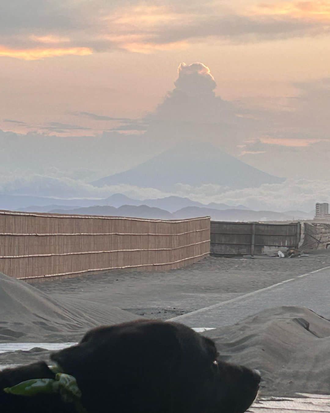 halmeのインスタグラム：「今日も1日　蒸し暑くて参りました‼️ ここ数日　#富士山　が雲の衣を纏って　やっぱり女の子かな？なんてね。 今日は素敵なてんこ盛り帽子😂 暑くて何もいう事ないです が ククイのこれをそろそろやめてほしい😄  ペコちゃん　暑そうでしょ🐦‍⬛」