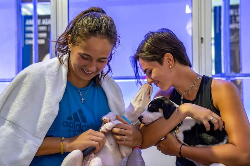 ナタリア・ザビアコさんのインスタグラム写真 - (ナタリア・ザビアコInstagram)「Mental health hour in WashingtonDC «Family portrait» 😂🐶🥰  #washingtondc  #puppies」8月4日 21時25分 - natalia_zabiiako