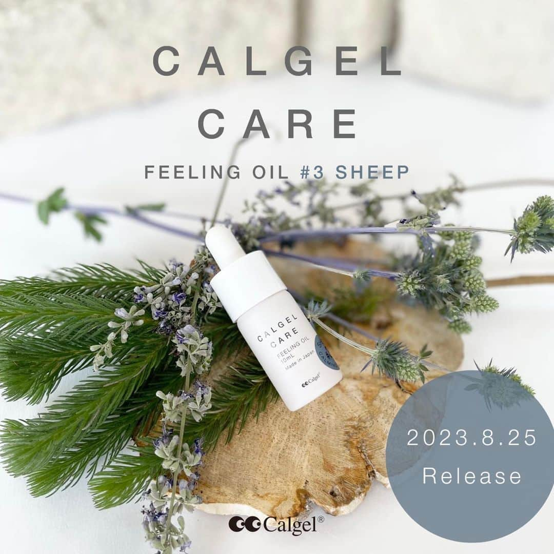 Calgelさんのインスタグラム写真 - (CalgelInstagram)「Ｎｅｗ　I t e m  BEAUTY＆HEALTHY 美しくすこやかな 爪と肌へ  ネイルハンドケアのプロフェッショナル & ホームメンテナンスシリーズ 『Calgel CARE』のフィーリングオイルから新たな香り【#3 SHEEP】が8月25日にdébut。  穏やかな眠りへと誘う静かで澄み切った夜の森をイメージした香りで夏の疲れを癒してくれる新商品です！  詳細はカルジェルオフィシャルWebサイトをご覧ください。  #Calgel #カルジェル #CalgelCARE #カルジェルケア #ハンドケア #ネイルケア」8月4日 21時26分 - calgel_japan