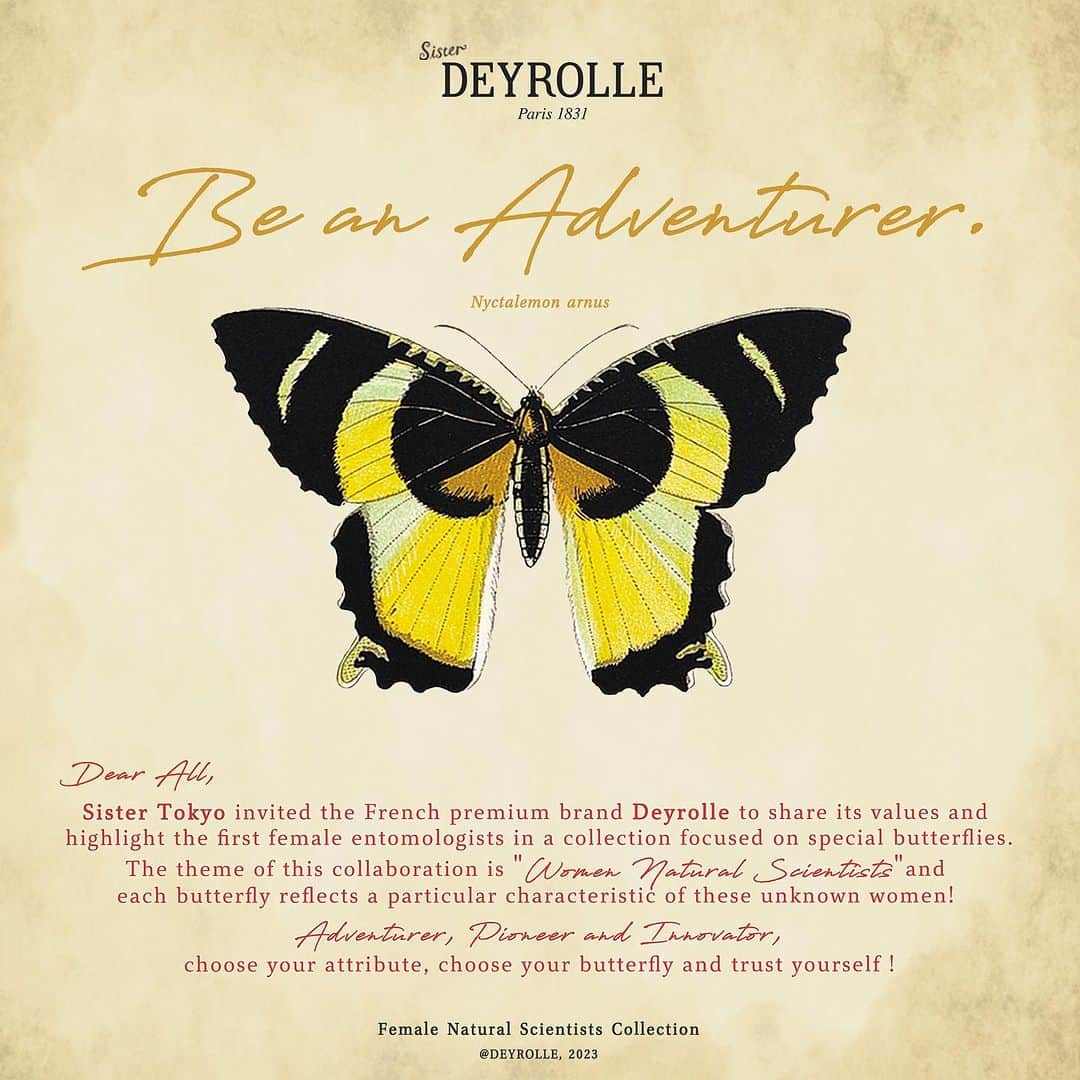 Sisterさんのインスタグラム写真 - (SisterInstagram)「Dear All,   Sister Tokyo invited the French premium brand @deyrolle.officiel to share its values and highlight the first female entomologists in a collection focused on special butterflies.  The theme of this collaboration is "Women Natural Scientists" and each butterfly reflects a particular characteristic of these unknown women! Adventurer, Pioneer and Innovator, choose your attribute, choose your butterfly and trust yourself !  親愛なる皆様へ  シスター・トウキョウはフランスのプレミアムブランドであるデロールを招き、その価値観を共有し、特別な蝶にフォーカスしたコレクションで最初の女性昆虫学者にスポットを当てた。 このコラボレーションのテーマは“女性自然科学者”であり、それぞれの蝶は無名の女性たちの特別な特徴を反映しています！“冒険家”、 “先駆者” 、“革新者”、あなたの属性を選び、蝶を選び、そしてあなた自身を信じてください！  Female Natural Scientists Collectionはこの夏お届け予定です🦋  #deyrolle #sister_tokyo」8月4日 21時30分 - sister_tokyo