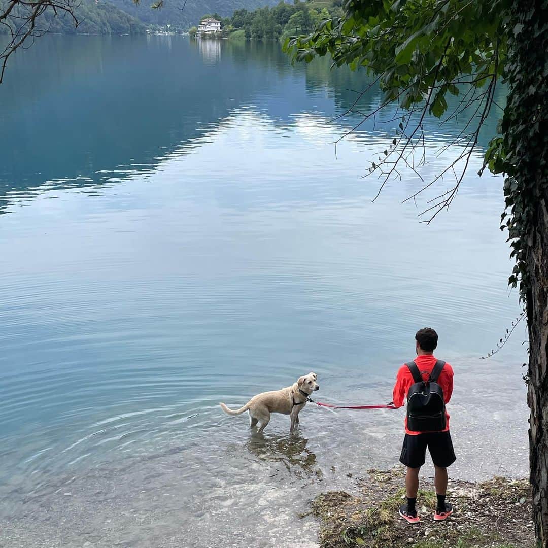 のインスタグラム：「Gita al lago 🦮🐾🤍」