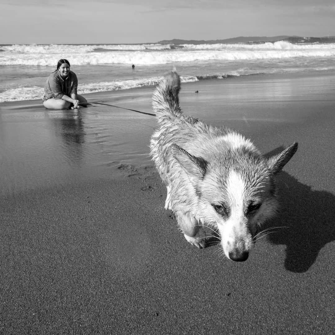 ローレン・ヤングさんのインスタグラム写真 - (ローレン・ヤングInstagram)「Filed under core memories: first beach trip with Sage 🩶   Photo by @joseantoniophotoph 👾」8月4日 22時02分 - lo_young