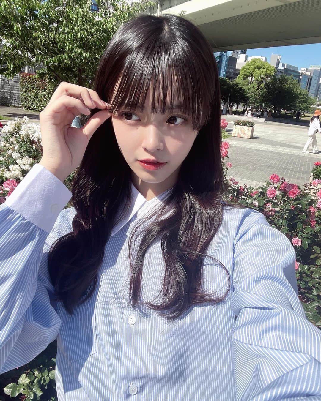 桜田彩叶のインスタグラム：「眩しくて目が空いてない ˙ᒡ̱˙ ちょっと前の写真 ˙ᒡ̱˙   #大阪  #大阪観光  #北浜  #中之島バラ園  #バラ園 #treatyourself」