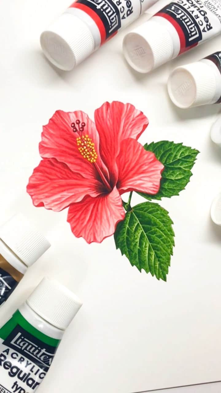 藤谷壮仁郎のインスタグラム：「hibiscus illustration（ハイビスカス イラスト） ・パッケージイラストで描かせて頂いたillustration。 ・鮮やかな感じではなく、商品のイメージに合わせて少し渋めに仕上げて欲しいとのご要望。 ・ ・ ・ @soujirou_art  #ハイビスカス #夏の花 #南国の花 #イラストレーション #水彩画 #リアルイラスト #ボタニカルアート #ボタニカルイラスト #hibiscus #flower #soujirou #art #painting #illustration #flowerart #watercolorpainting #botanicalart #botanicalillustration #instaart」