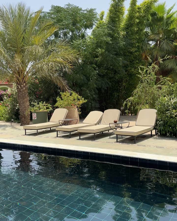 ルイ・トーロンのインスタグラム：「Enjoying Marrakech 🇲🇦」