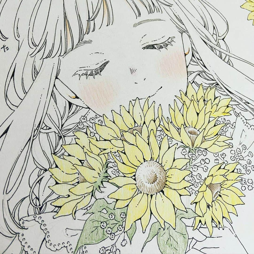 友風子/yufushiのインスタグラム：「ひまわりとかすみ草のブーケ💐  ペン入れ久々で楽しかった  #illustration #illust #イラスト #アナログ #アナログイラスト #ミリペン #色紙 #色紙イラスト #色鉛筆」