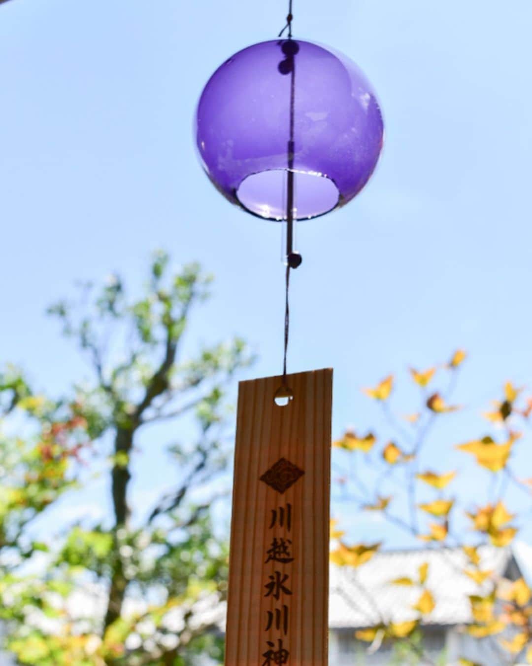 川越氷川神社さんのインスタグラム写真 - (川越氷川神社Instagram)「. ※ 追記 : 8月6日昼時点で頒布終了いたしました。  明日8月5日より江戸風鈴特別色「硝子紫」と「月あかり」を頒布いたします。  江戸切子を思わせる上品な色合いと透明感の硝子紫。 月の光のような優しくふんわりとひた黄色の月あかり。 どちらも職人さんの自信作です。  なお、それぞれ数に限りがあるため、同じ色はひとりにつき一個のお分かちとさせていただきます。なるべく多くの皆さまにお届けできるようご理解とご協力のほど宜しくお願い申し上げます。  #川越氷川神社 #縁むすび風鈴 #江戸風鈴 #紫 #月色 #月あかり #神社 #埼玉 #小江戸川越 #川越 #kawagoe  #kawagoehikawashrine  #windchime」8月4日 23時22分 - kawagoe_hikawa